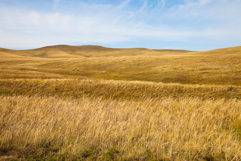 The Steppe